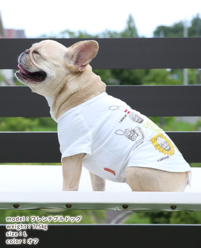 クリフメイヤー[公式] チルタイムT(キーホルダー) DOG D2517820