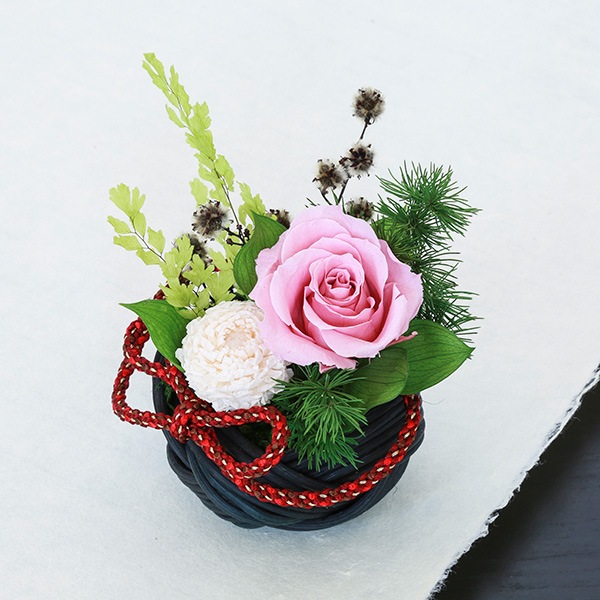 ����˻� �ȷϿ� ������8�ȷ� ��Ȣ�դ� �ϡ��ɥ��С� 2��ʣ���դ�