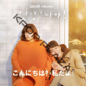 K-POP LAND】KPOP DVD 韓流グッズ 専門店 新大久保 KPOPDVD