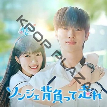 K-POP LAND】KPOP DVD 韓流グッズ 専門店 新大久保 KPOPDVD