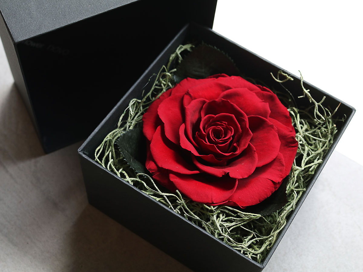 プリザーブドフラワー・ロングボックスアレンジメント 003