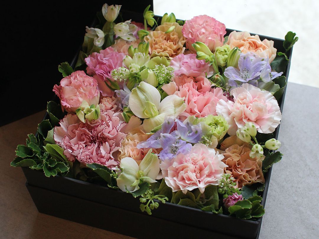 K's flower novo (TS CUBIC SHOPPING) |