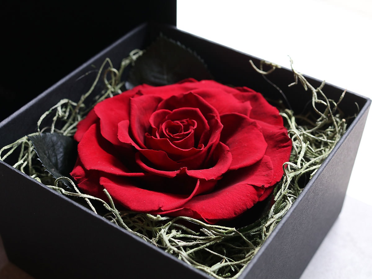 プリザーブドフラワー・ブリリアントローズ