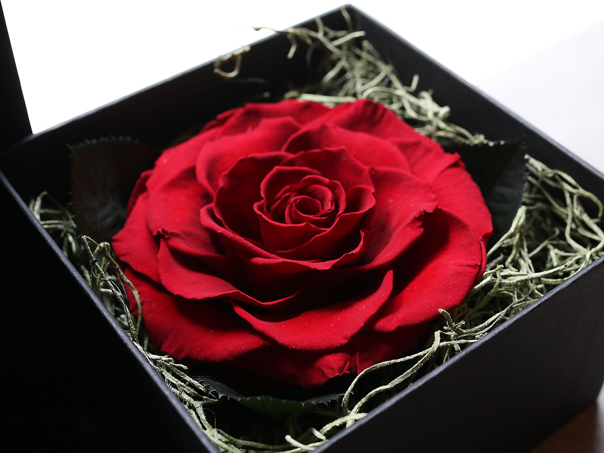 プリザーブドフラワー・ブリリアントローズ