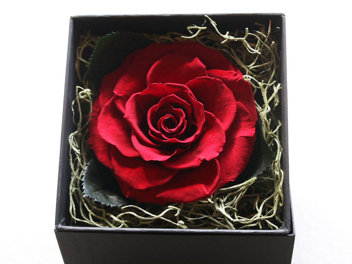 プリザーブドフラワー・ブリリアントローズ
