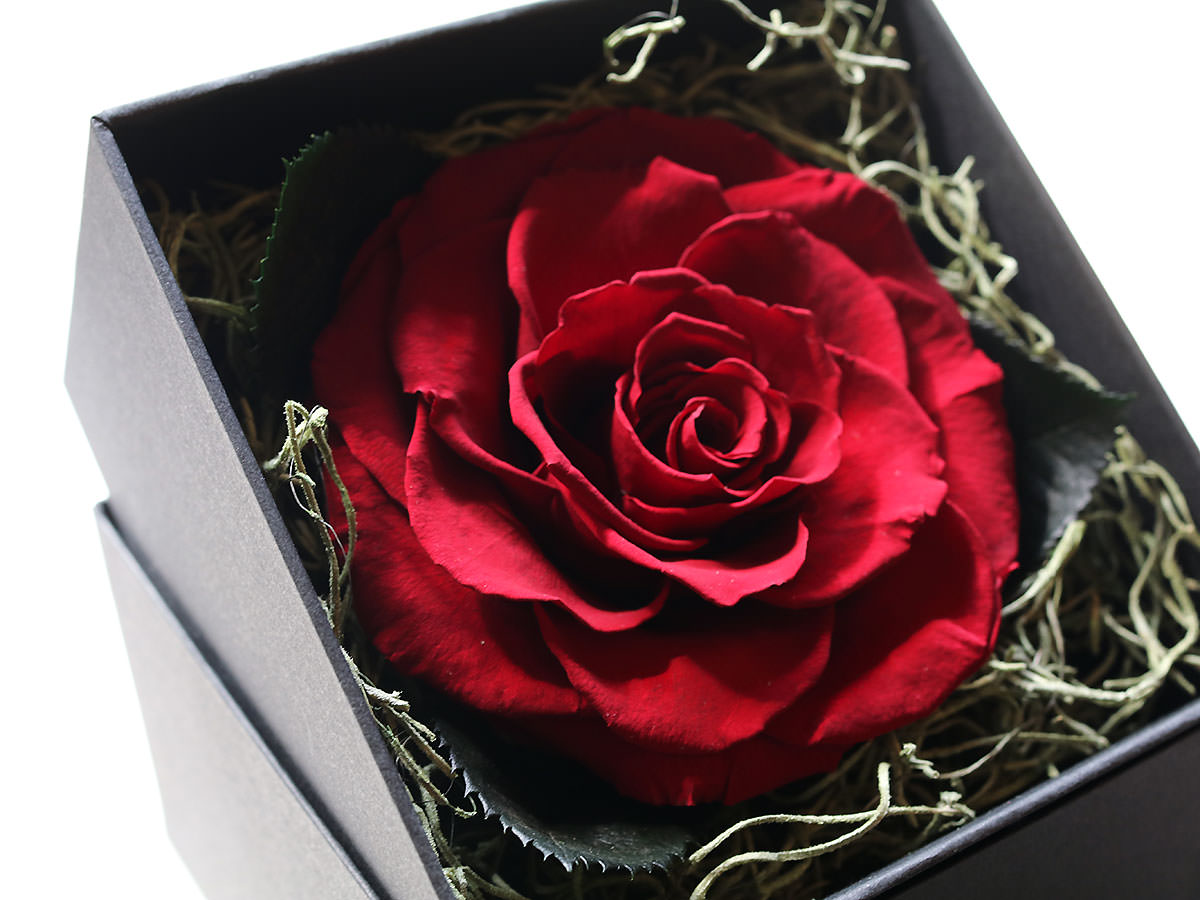 プリザーブドフラワー・ブリリアントローズ