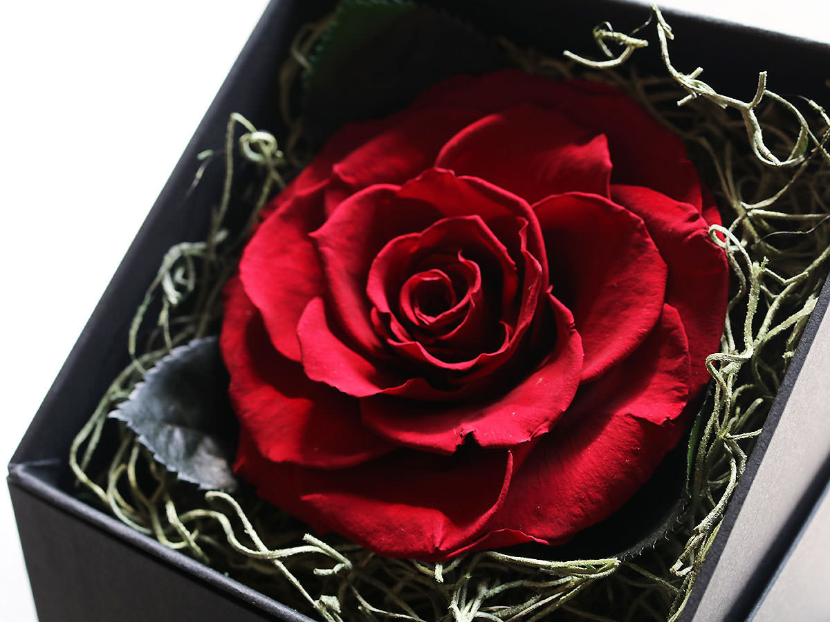 プリザーブドフラワー・ブリリアントローズ