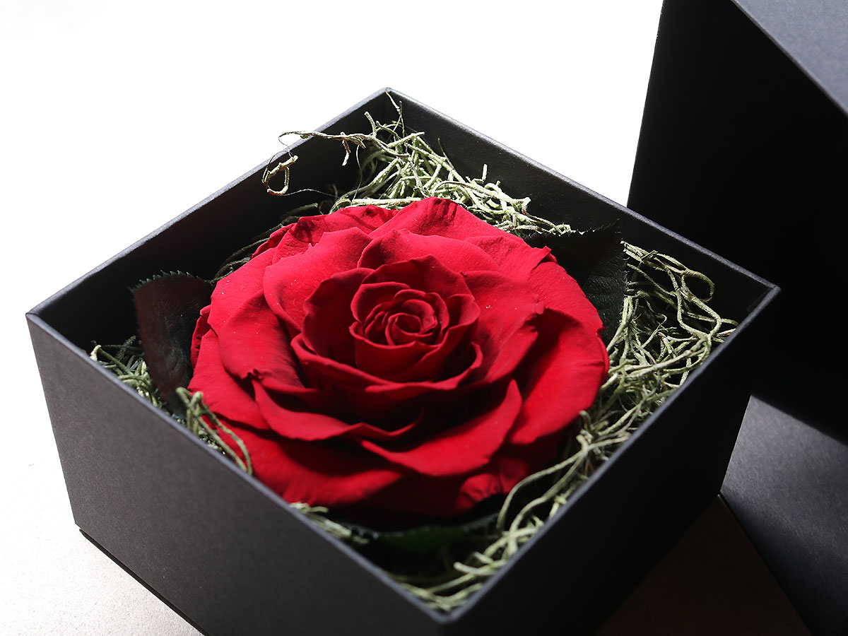 プリザーブドフラワー・ブリリアントローズ