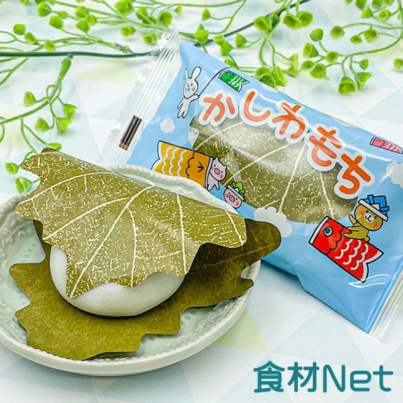 ☆ご予約専用☆こどもの日かしわもち（Fe＆Ca）（40g×10）