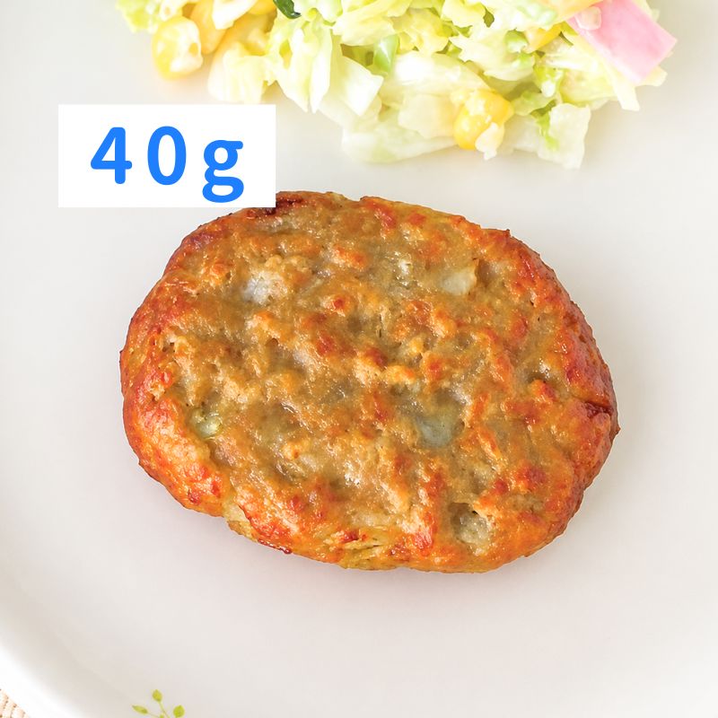NKR国産鶏肉のかみかみごぼう入りバーグ40（鉄・Ca）（40g×25）