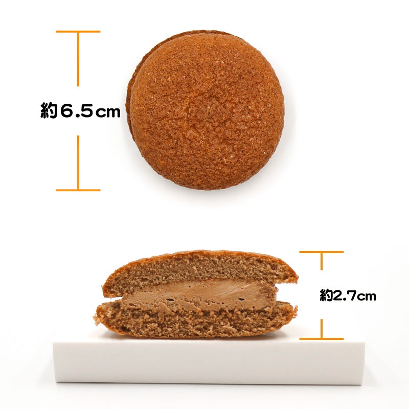 ショコラブッセ（Fe入り）（21g×10）
