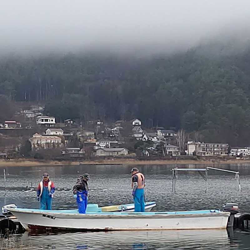 富士山きらめきワカサギ（1ｋｇ）