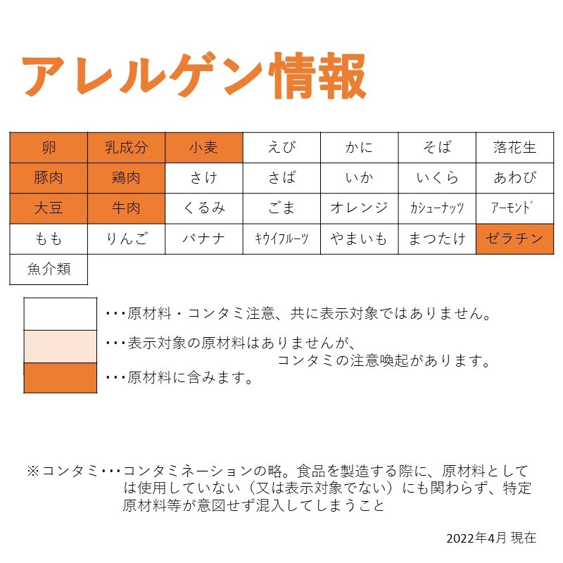 ふんわり仕立てハンバーグ（120g×10）