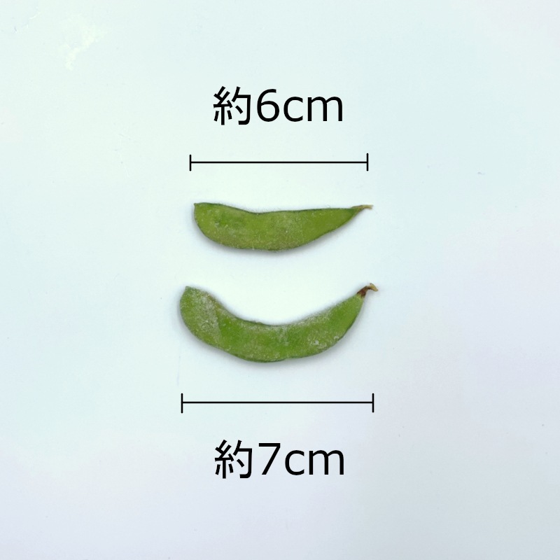 塩味えだ豆（500g）