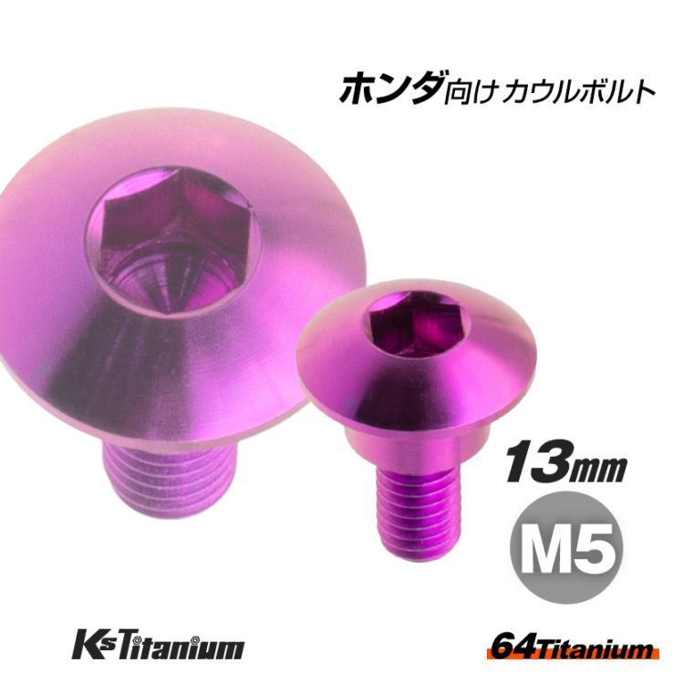 クオン　サイドステップ鏡面　アルミ縞板　ボルトナット付き 八幡ねじ ステンレス キャップボルト M5×50mm P0．8 2本入