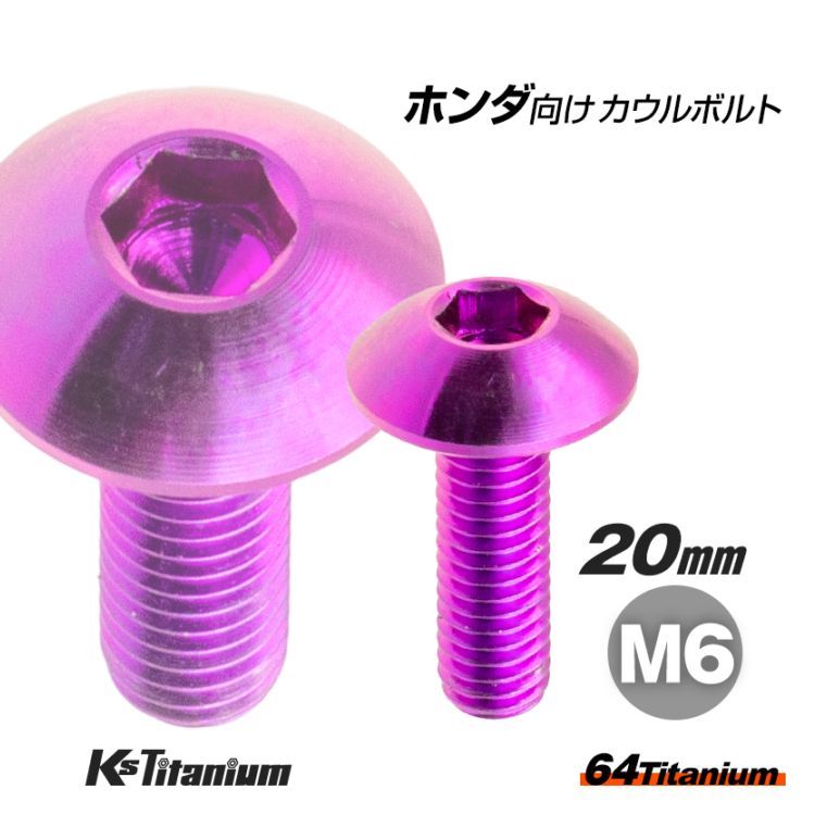 64チタン製 フロントフェンダー用 カウルボルト M6×20 全ネジ P1.00 【パープル】