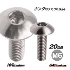 CORIN アルミニウム カウルパーツ シルバー 64チタン製 フロントフェンダー用 カウルボルト M6×20 全ネジ P1.00