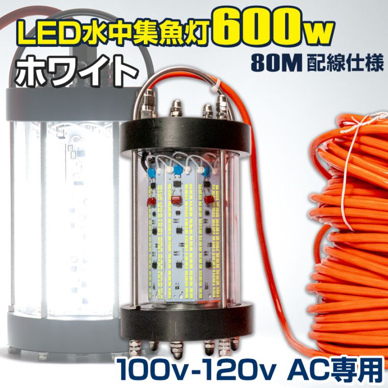AC100V専用 水中集魚灯 600w 78000lm (ホワイト) 【電源配線80M仕様】
