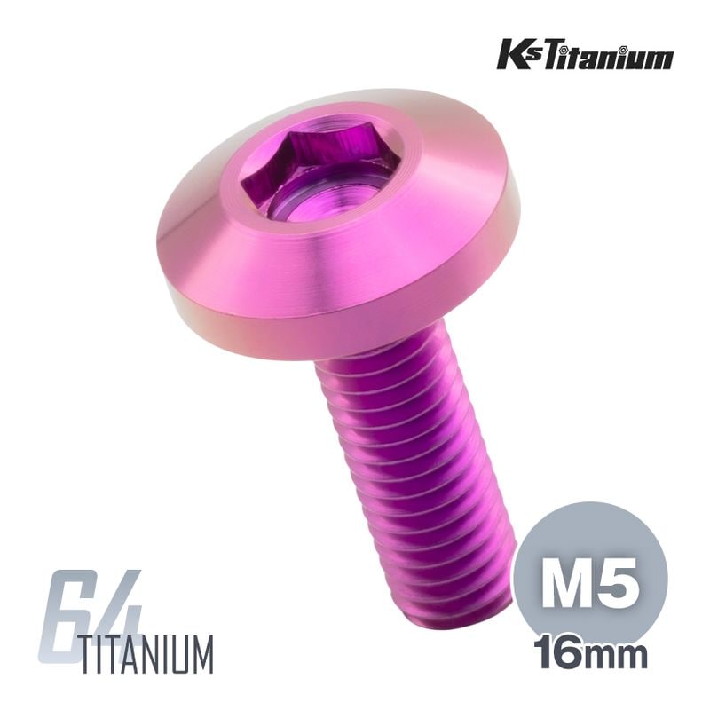 64チタン製 サイドカバー リアカウル セッティングボルト M5×16 全ネジ P0.8 【パープル】