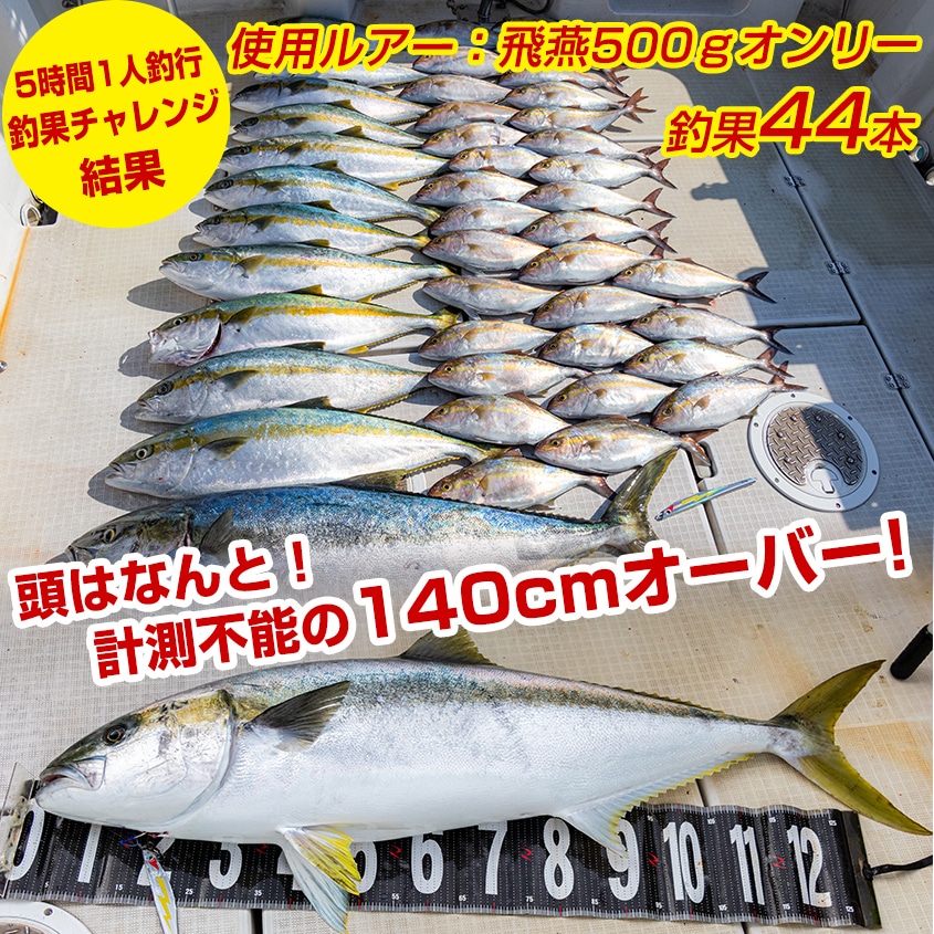 Ksガレージオリジナル 電動ジギング用 メタルジグ 飛燕 -HIEN- 500g