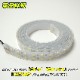DC12v専用 LEDテープライト 6000k ホワイト発光 黒基盤 (2m)