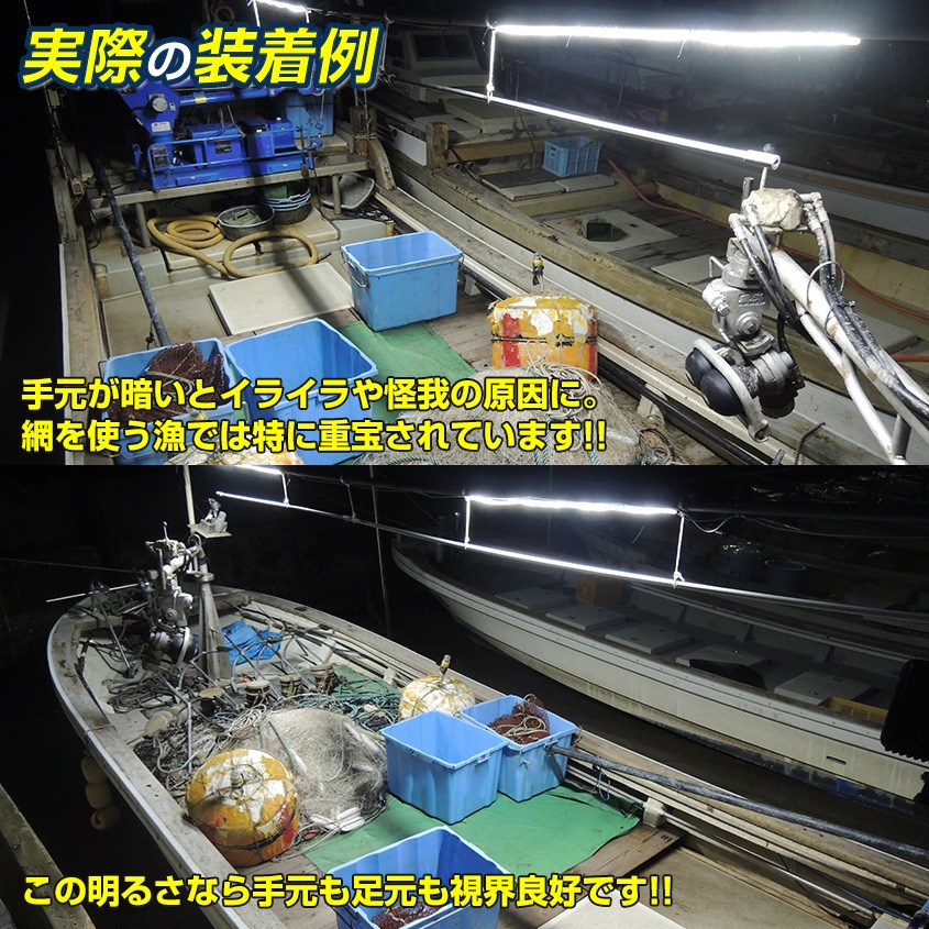 DC12v専用 LEDテープライト 6000k ホワイト発光 白基盤 (50cm)