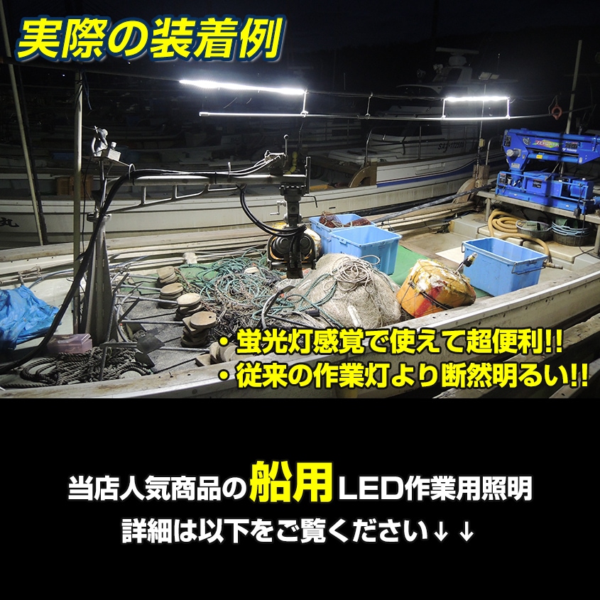 DC12v専用 LEDテープライト 6000k ホワイト発光 白基盤 (50cm)