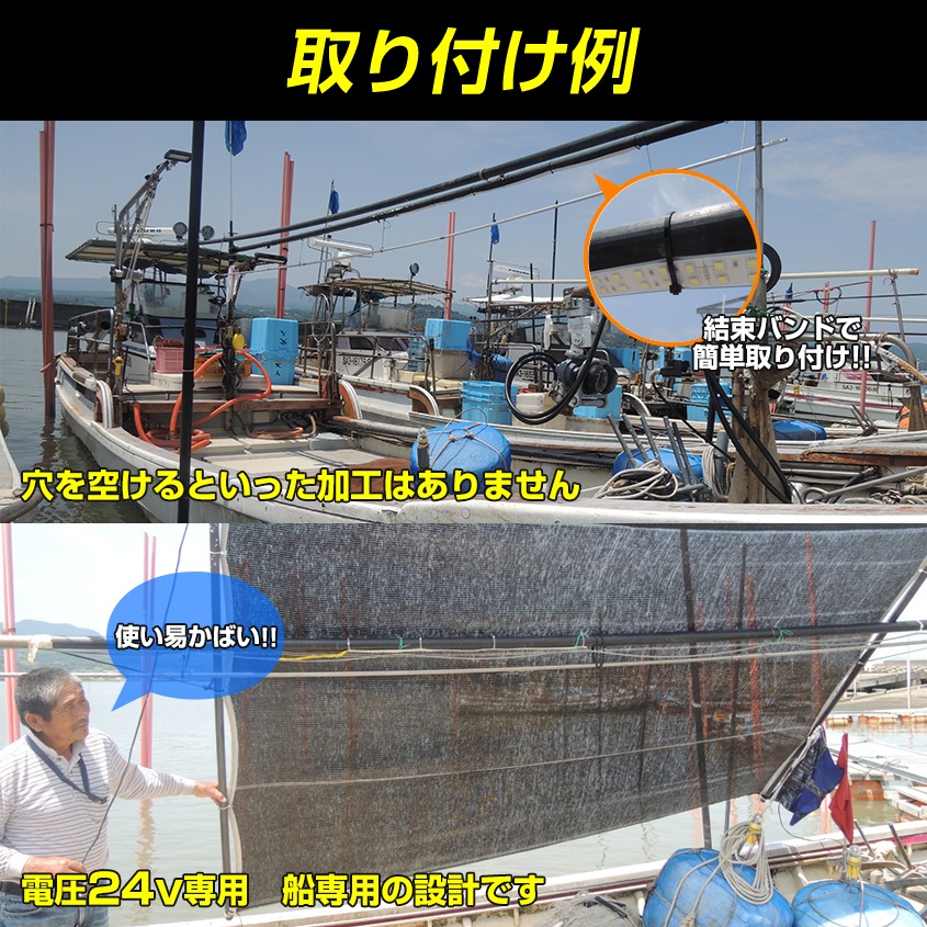 DC24v専用 LEDテープライト 6000k ホワイト発光 黒基盤 (50cm)