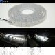 DC24v専用 LEDテープライト 6000k ホワイト発光 白基盤 (5m)