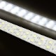 DC24v専用 LEDテープライト 6000k ホワイト発光 白基盤 (5m)