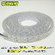 DC24v専用 LEDテープライト 6000k ホワイト発光 白基盤 (5m)