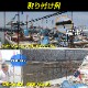 DC24v専用 LEDテープライト 6000k ホワイト発光 白基盤 (5m)