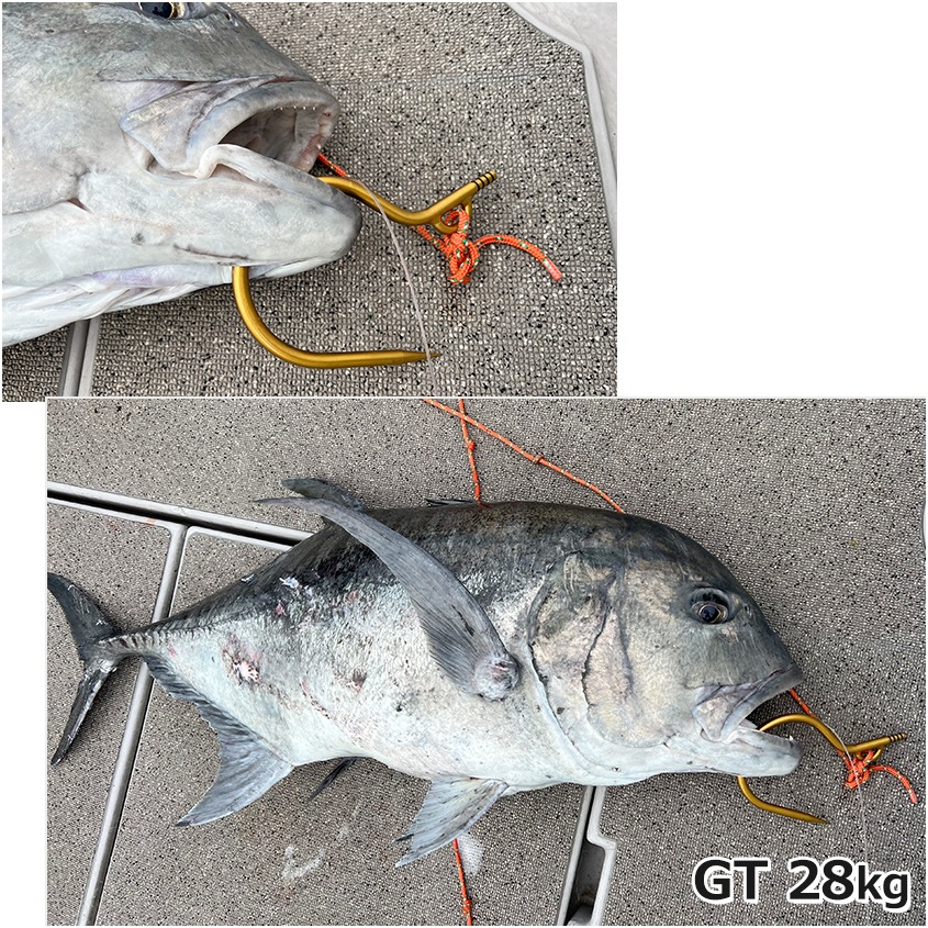 チタン製 大型魚用フライングギャフ 限定販売 ゴールド ショア オフショア 兼用 マグロ カジキ クエ ヒラマサ カンパチ シイラ イソマグロ サメなどに