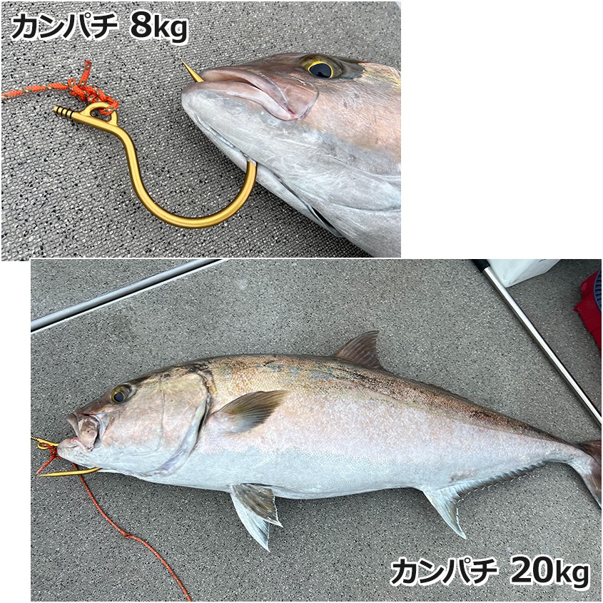 チタン製 大型魚用フライングギャフ 限定販売 ゴールド ショア オフショア 兼用 マグロ カジキ クエ ヒラマサ カンパチ シイラ イソマグロ サメなどに