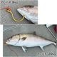 チタン製 大型魚用フライングギャフ 限定販売 ゴールド ショア オフショア 兼用 マグロ カジキ クエ ヒラマサ カンパチ シイラ イソマグロ サメなどに