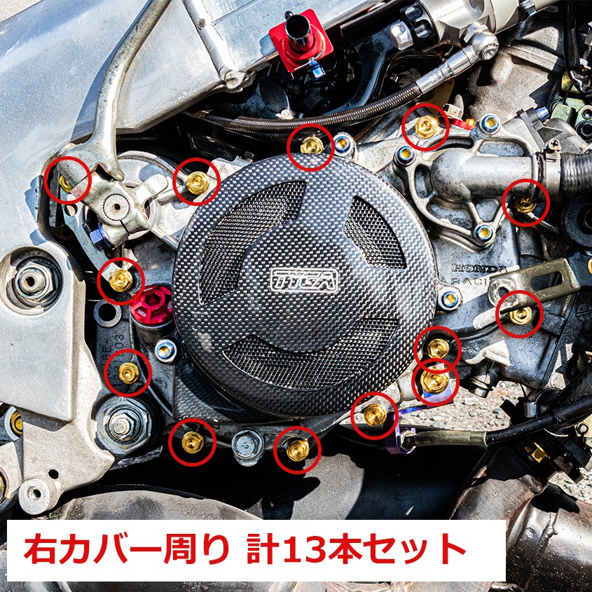 HONDA NSR250R専用 チタンボルトセット グリーン R. クランクケース