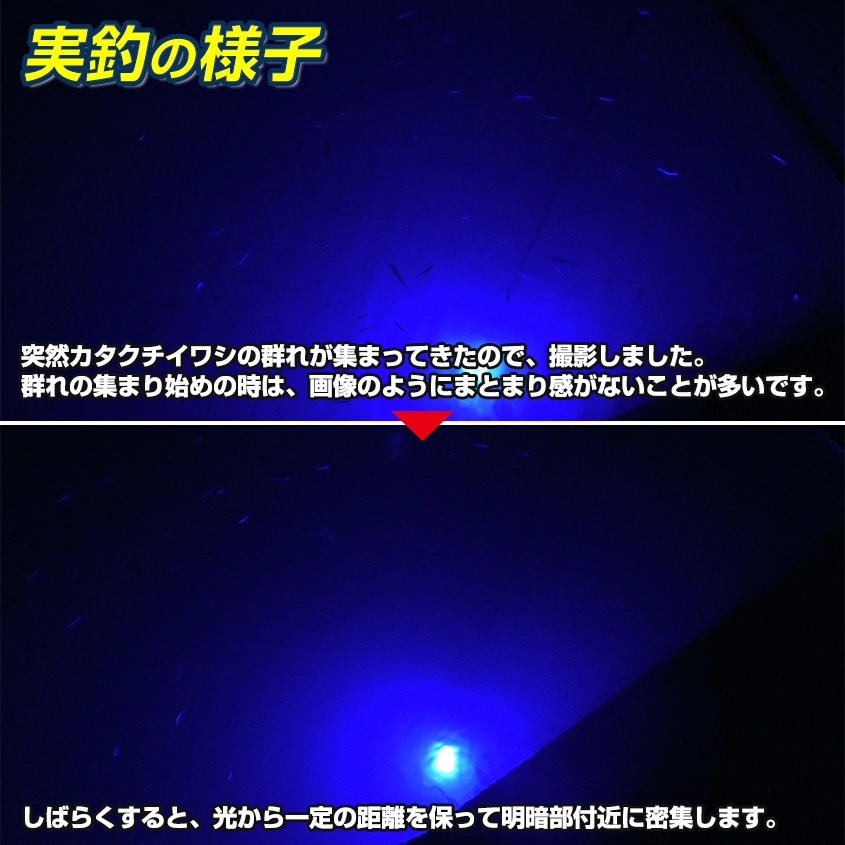 DC12v専用 水中集魚灯 60w ブルー