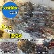 126w 集魚灯 投光器 オレンジ発光 拡散配光 DC12v/24v 対応 (ブラックボディ)