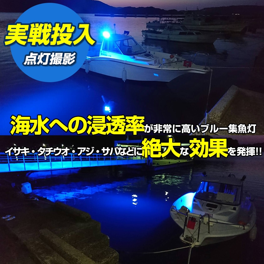 144w 集魚灯 投光器 ブルー発光 拡散配光 DC12v/24v 対応 (ブラックボディ)