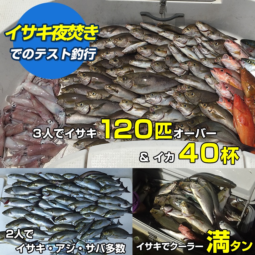 144w 集魚灯 投光器 ブルー発光 拡散配光 DC12v/24v 対応 (ブラックボディ)