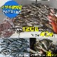 144w 集魚灯 投光器 ブルー発光 拡散配光 DC12v/24v 対応 (ブラックボディ)