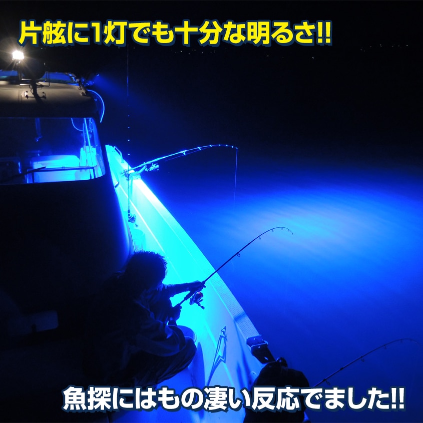 216w 集魚灯 投光器 ブルー発光 拡散配光 DC12v/24v 対応 (ブラックボディ)