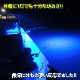 216w 集魚灯 投光器 ブルー発光 拡散配光 DC12v/24v 対応 (ブラックボディ)
