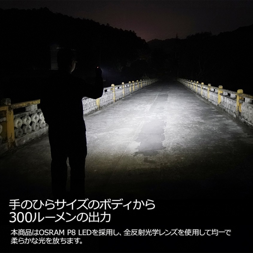 NITECORE TIKI 300lm 超小型 充電式 キーライト 紫外線 UV サブライト付き