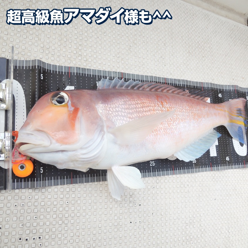 ★鯛ラバ鉛　ヘッド＆スカート　替え針　まとめ売り タイラバ用鉛ヘッド 90g (シルバーメッキ) | 釣り具,タイラバ