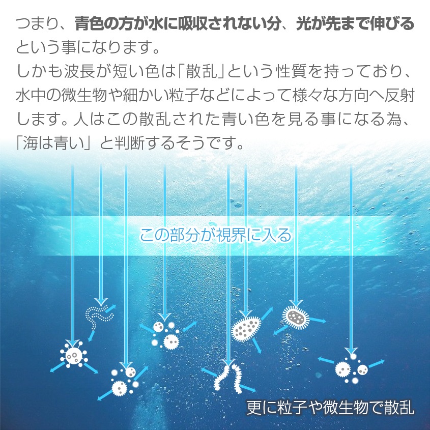 45w 集魚灯 投光器 ブルー発光 拡散配光 カーバッテリー接続キット DC12v/24v 対応 (ブラックボディ)