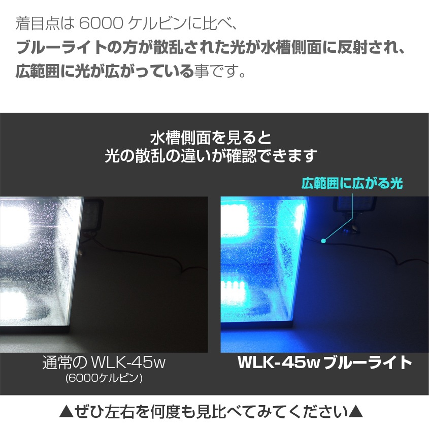45w 集魚灯 投光器 ブルー発光 拡散配光 カーバッテリー接続キット DC12v/24v 対応 (ブラックボディ)