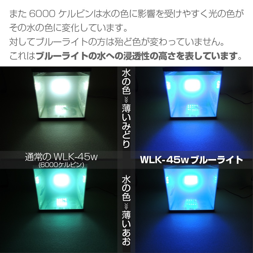 45w 集魚灯 投光器 ブルー発光 拡散配光 カーバッテリー接続キット DC12v/24v 対応 (ブラックボディ)