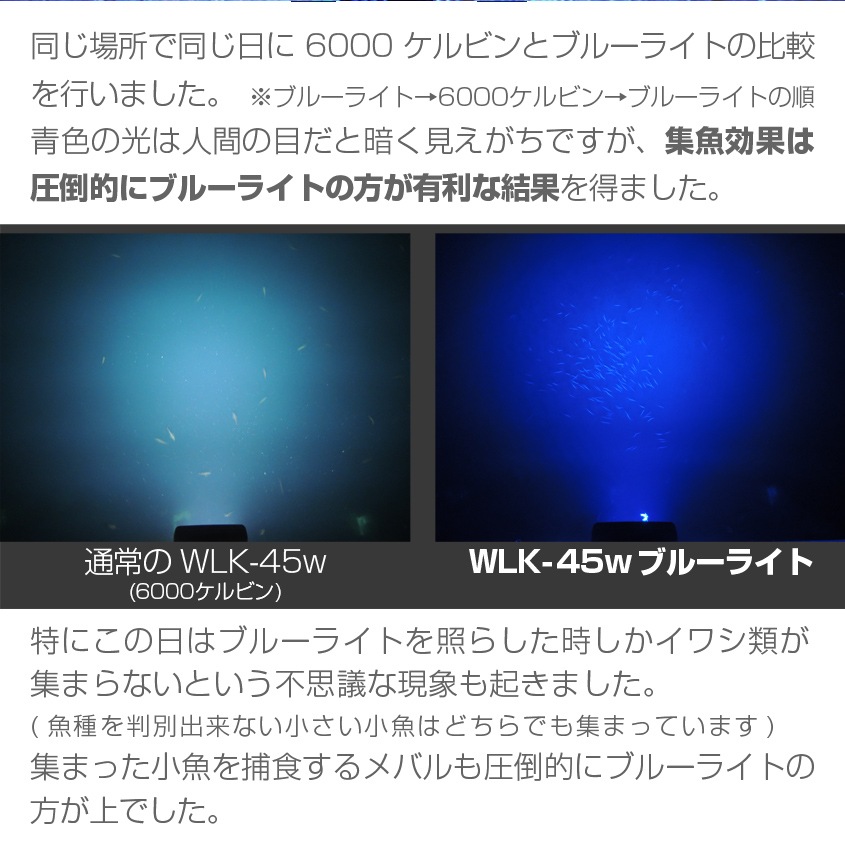 45w 集魚灯 投光器 ブルー発光 拡散配光 カーバッテリー接続キット DC12v/24v 対応 (ブラックボディ)