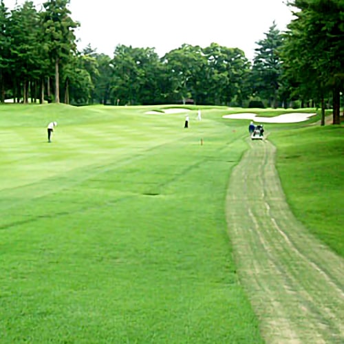 アストロカートミチスペシャル 人工芝 １５ｍ 厚さ20mm 巾100cm 1巻15m販売（配送は事業所のみ）